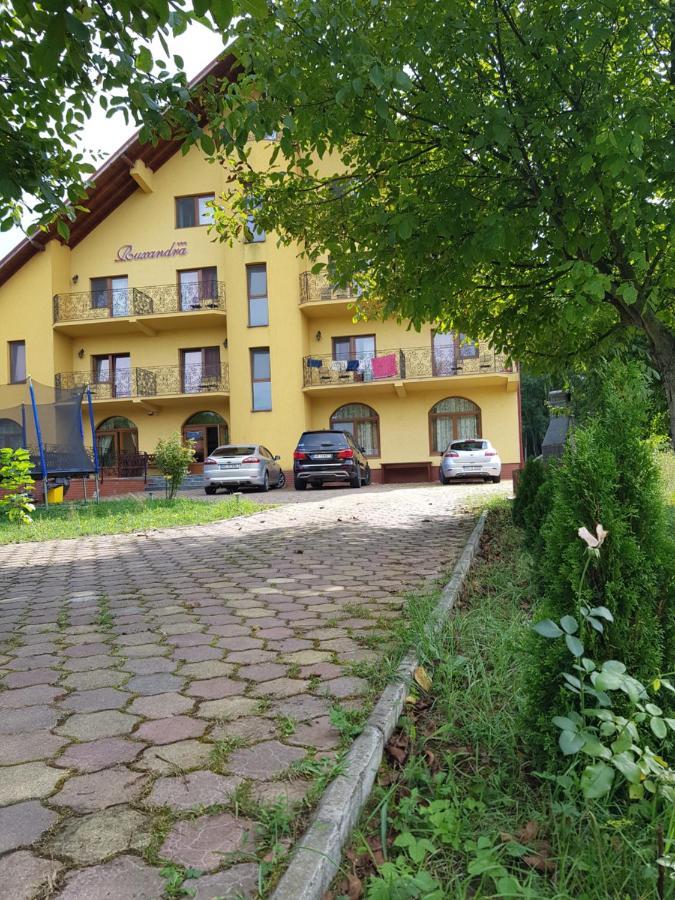 Pensiunea Ruxandra Baile 1 Mai Buitenkant foto