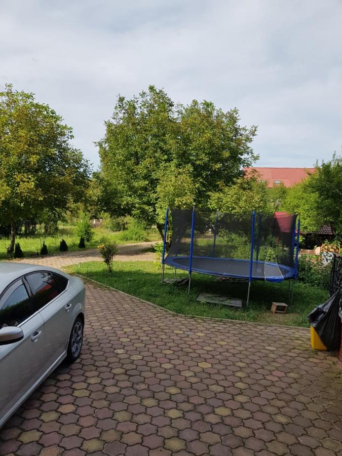 Pensiunea Ruxandra Baile 1 Mai Buitenkant foto
